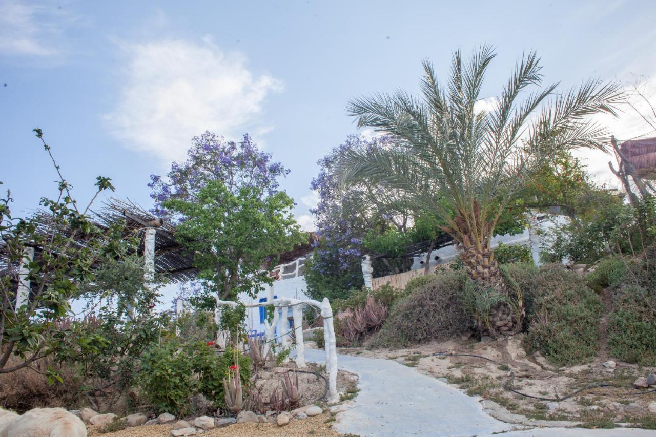 Casa Rural Aloe Vera Huercal-Overa Exterior photo