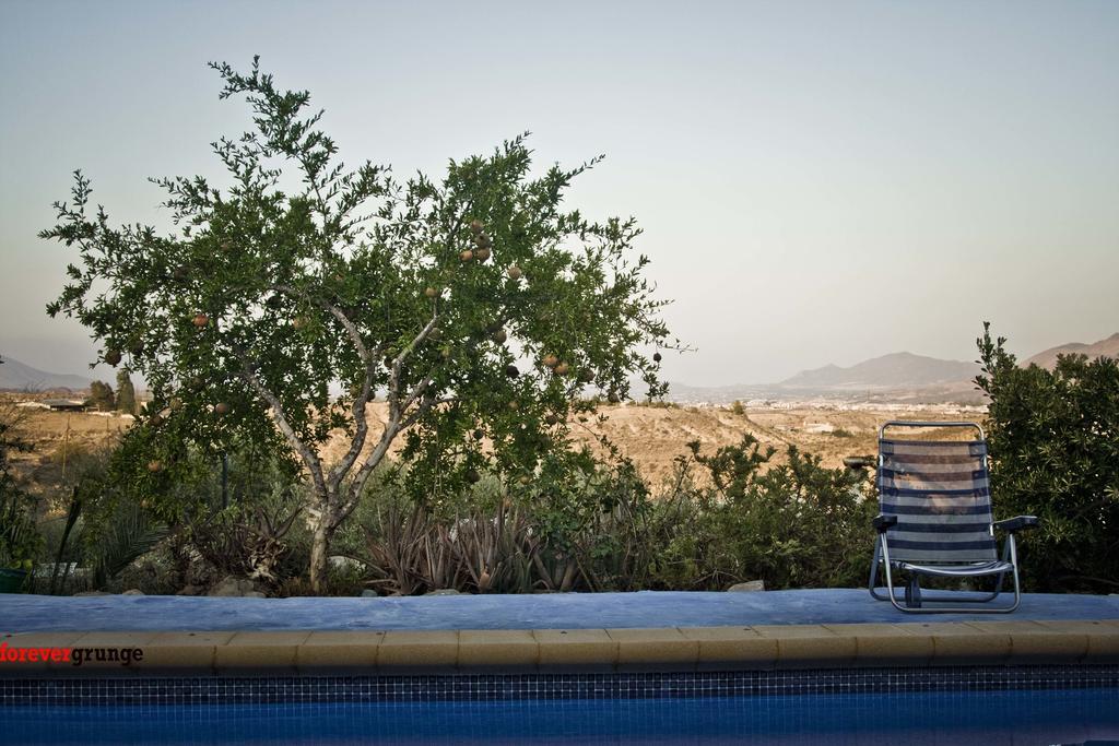 Casa Rural Aloe Vera Huercal-Overa Exterior photo
